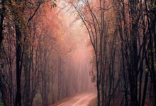 杭州第4届亚残运会开幕央视新闻客户端.