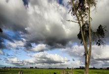 德媒:拜仁训练期间有人在场边狂喊格雷茨卡的名字.