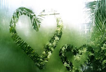 意甲:国际米兰击退帕尔马.